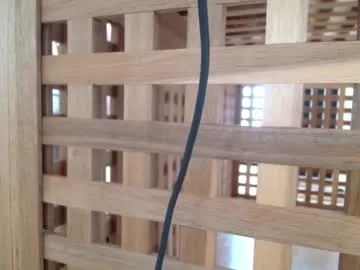 gizzlemcclizzle Image 6