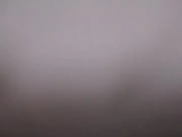 littleviki_ Image 12